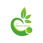 natural gases natural gases